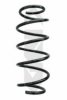 SPIDAN 86818 Coil Spring